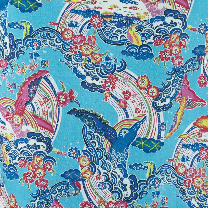 Box Top - Rainbow Whale Tours Blue
