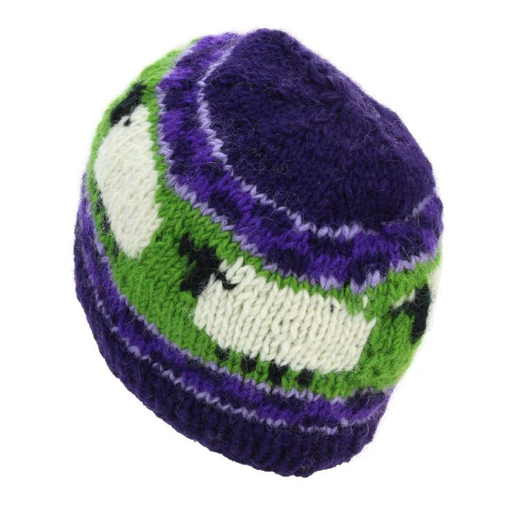 Hand Knitted Wool Beanie Hat - Purple Green