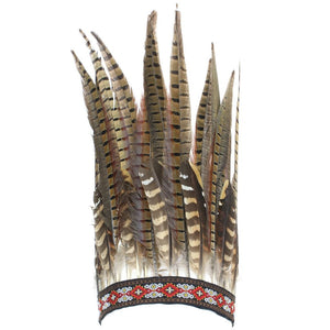 Bandeau de coiffure en plumes avec plumes brunes